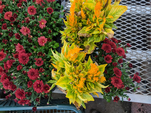 Hardware Store «Orchard Supply Hardware», reviews and photos, 2245 Gellert Blvd, South San Francisco, CA 94080, USA