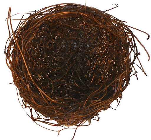 Florist «FloralSupply.com», reviews and photos, 1570 Nicholls Rd, Fruit Heights, UT 84037, USA