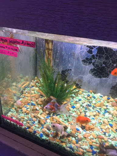 Pet Store «Aquarium City», reviews and photos, 21723 Sherman Way, Canoga Park, CA 91303, USA