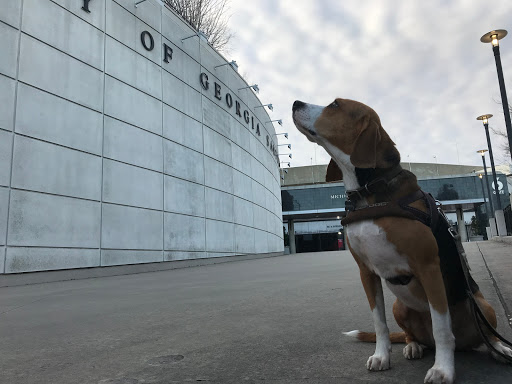 Stadium «Sanford Stadium», reviews and photos, 100 Sanford Dr, Athens, GA 30602, USA