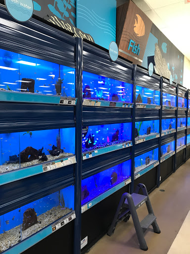 Pet Supply Store «Petco Animal Supplies», reviews and photos, 4500 Las Positas Rd, Livermore, CA 94551, USA