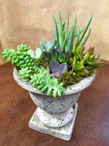 Florist «The Flower Lady», reviews and photos, 1417 Underwood Ave, Milwaukee, WI 53213, USA