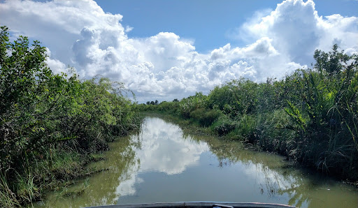 Tourist Attraction «Everglades Alligator Farm», reviews and photos, 40351 SW 192nd Ave, Florida City, FL 33034, USA