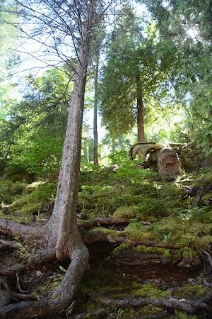 Black Rocks - photo 11