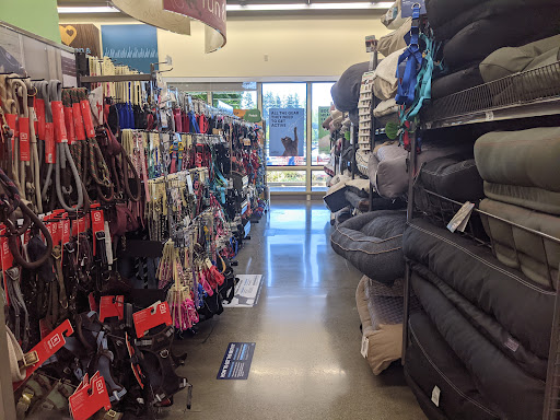 Pet Supply Store «Petco Animal Supplies», reviews and photos, 474 228th Ave NE, Sammamish, WA 98074, USA