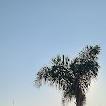 Photo n°9 de l'avis de Autilia.i fait le 22/08/2021 à 22:05 sur le  Donnarumma beach à Casal Velino