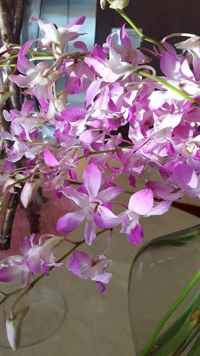 Tourist Attraction «CNN Studio Tours», reviews and photos, 190 Marietta St, Atlanta, GA 30303, USA