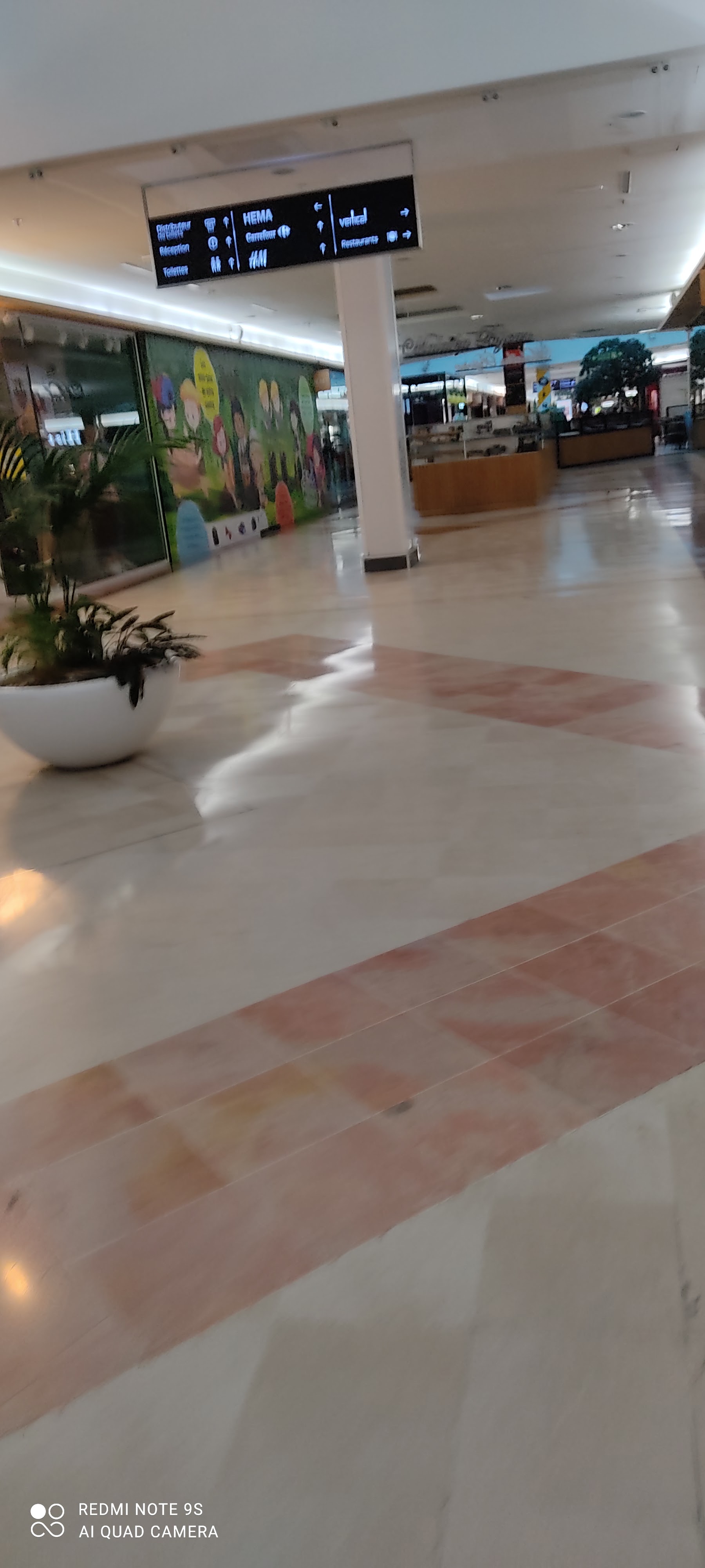 Photo n° 3 de l'avis de LES.E fait le 25/04/2023 à 21:58