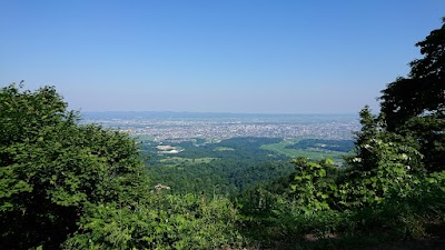 きむら接骨院