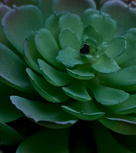 Explore star ideas for tattoos, creative tattoo ideas in Riverside, available at The Pierced Tai