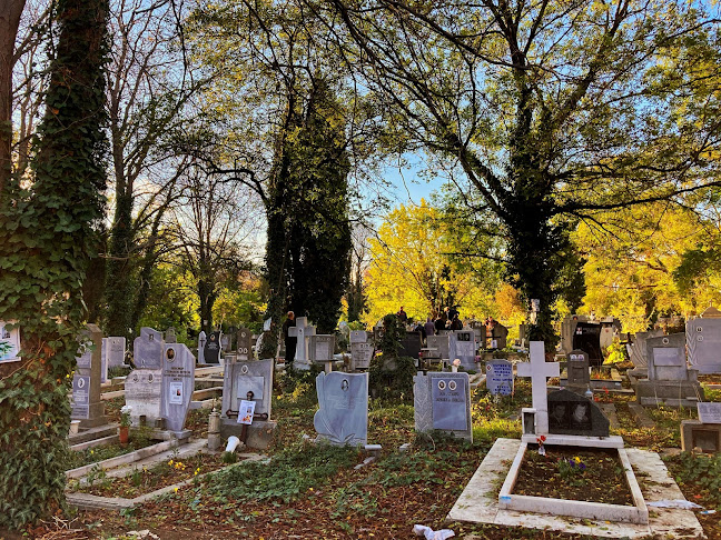 Отзиви за Траурна Агенция ДРАГОМИРОВ в Варна - Погребална агенция