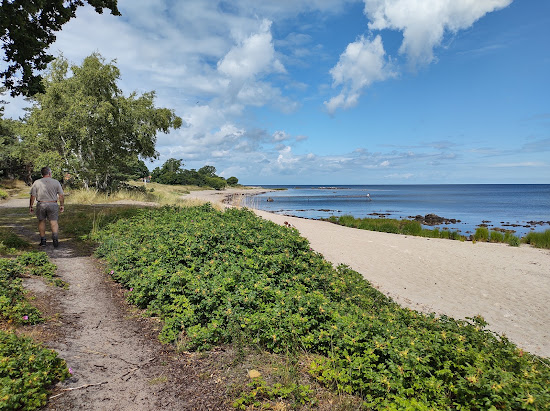 Melsted Beach