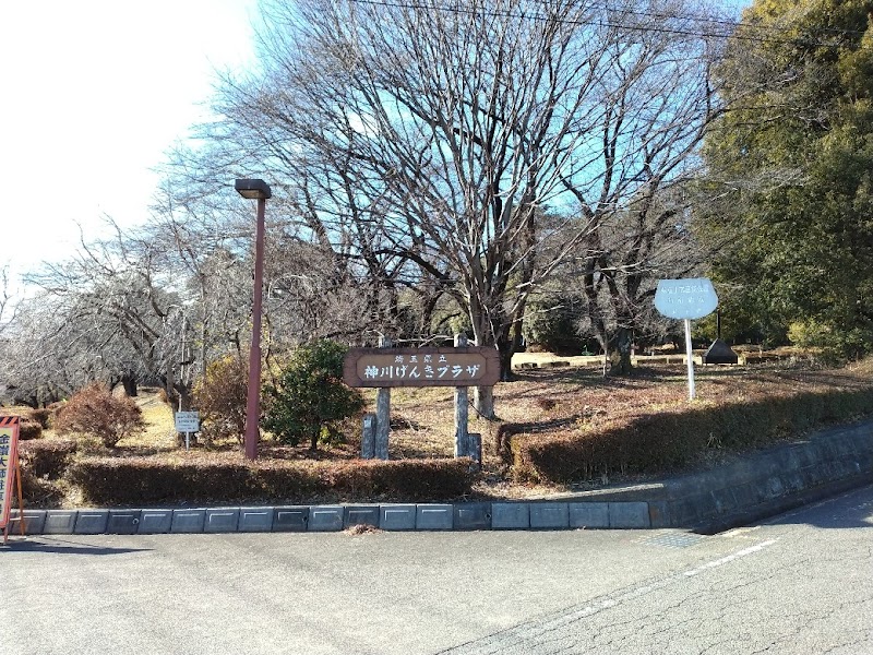 埼玉県県立神川げんきプラザ