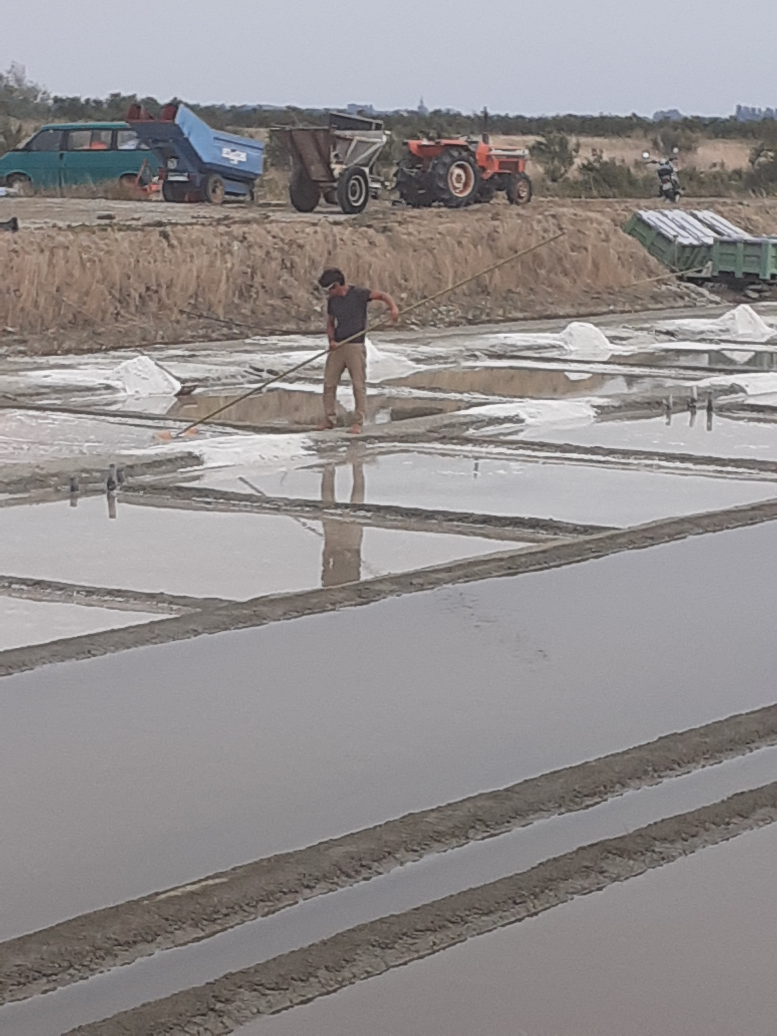 Photo n° 2 de l'avis de FRANCOISE.U fait le 22/07/2022 à 15:40