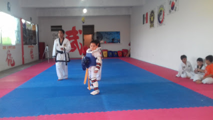 Taekwondo Moo Duk Kwan - Ote. 2 206, Adolfo Ruiz Cortines, 91770 Veracruz, Ver., Mexico
