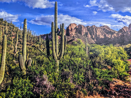 Resort «Pointe Hilton Tapatio Cliffs Resort», reviews and photos, 11111 N 7th St, Phoenix, AZ 85020, USA