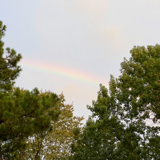 Park «McDade Park», reviews and photos, 3750 FM 2854 Rd, Conroe, TX 77304, USA