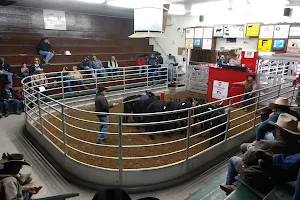La Junta Livestock Commission image