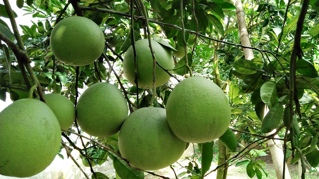 Nguyễn Trọng Duy Family