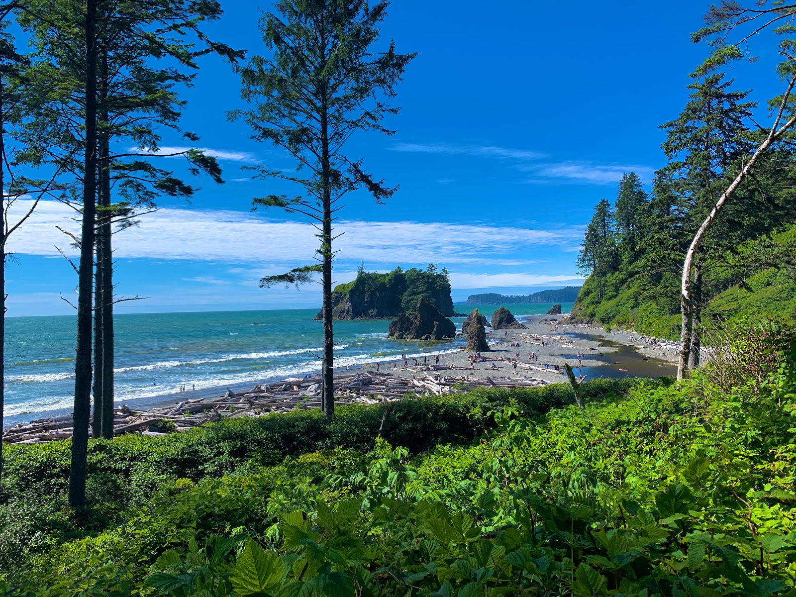 Foto de Rialto Beach - bom local amigável para animais de estimação para férias