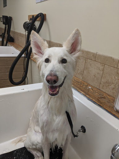 Pet Store «PetSaver Healthy Pet Superstore (Brighton Location)», reviews and photos, 2947 Monroe Ave, Rochester, NY 14618, USA