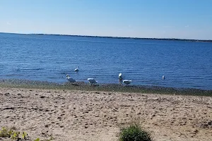 Shirley Beach image