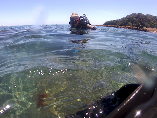 Dive HQ Auckland. Academy of Scuba, Westhaven