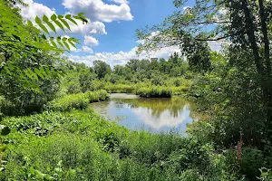 Kroger Wetlands image