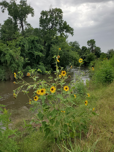 Park «Terry Hershey Park», reviews and photos, 15200 Memorial Dr, Houston, TX 77079, USA