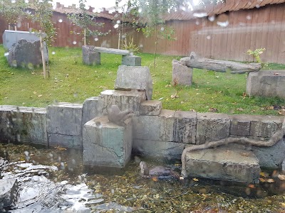 Photos of Dingle Oceanworld Aquarium