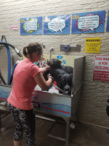 Self Service Car Wash «Scrubbys Car And Dog Wash», reviews and photos, 303 Thousand Oaks Blvd, Georgetown, TX 78628, USA
