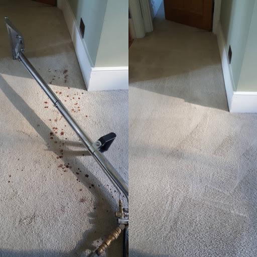 Best Local Carpet Cleaners