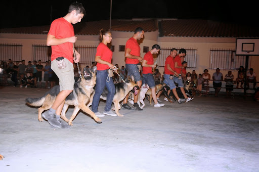Club de Adiestramiento Canino Rincon del Tio Noguera