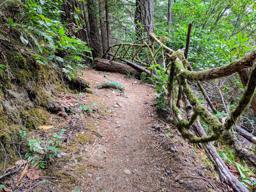 Performing Arts Theater «Kitsap Forest Theater», reviews and photos, 3000 Seabeck Hwy NW, Bremerton, WA 98312, USA