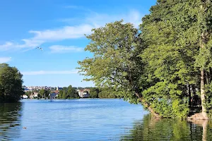 Parc des Otaries image