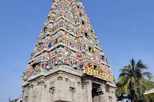 Sri Thanthondreeswarar Temple - Belur image