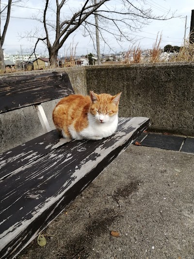 玉津東公園