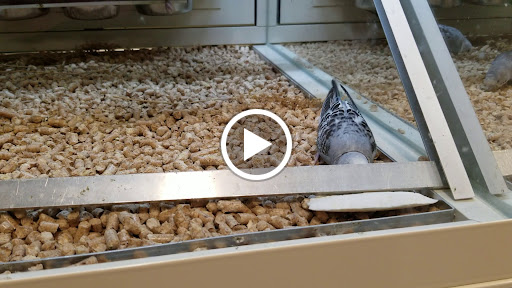 Pet Supply Store «PetSmart», reviews and photos, 1515 US-22, Watchung, NJ 07069, USA