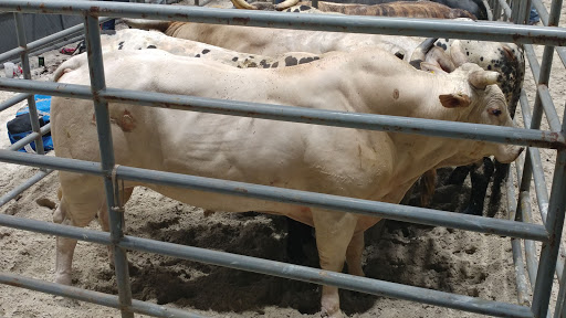 Arena «Germain Arena», reviews and photos, 11000 Everblades Parkway, Estero, FL 33928, USA