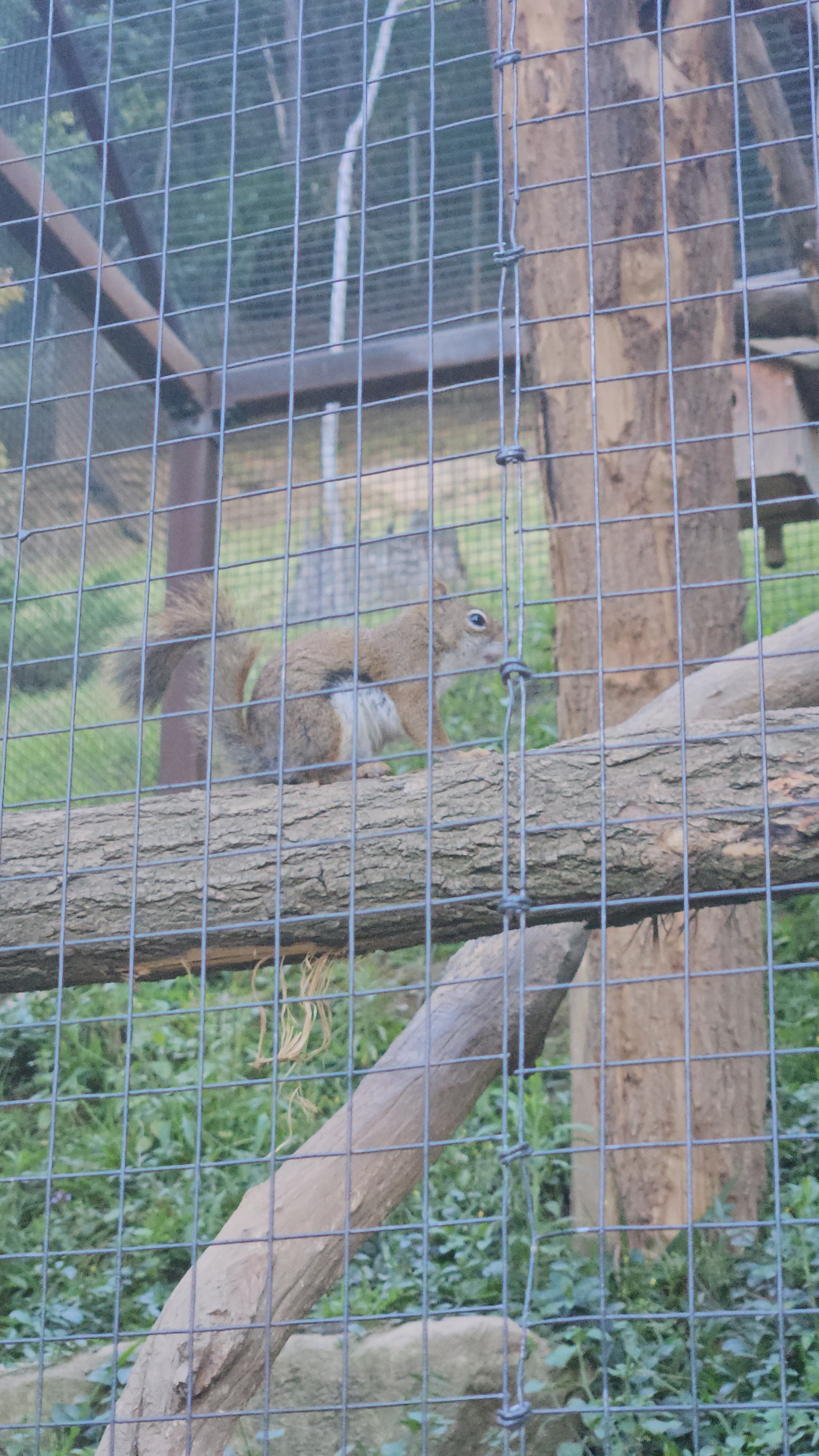 Photo n° 8 de l'avis de Christian.o fait le 01/08/2023 à 19:28