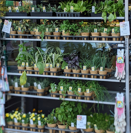 Grocery Store «Sacramento Natural Foods Co-op», reviews and photos, 2820 R St, Sacramento, CA 95816, USA