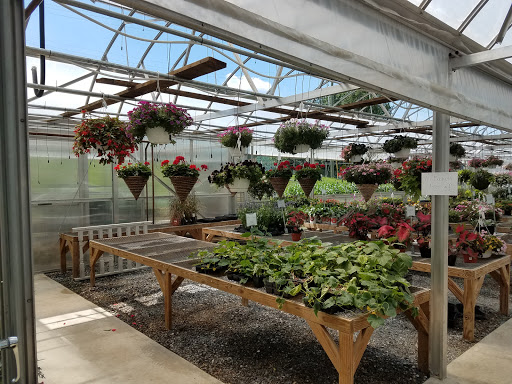 Grocery Store «Hillside Bulk Foods», reviews and photos, 1403 W Kings Hwy, Gap, PA 17527, USA