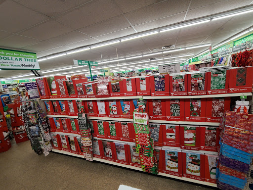 Dollar Store «Dollar Tree», reviews and photos, 132-23 14th Ave, College Point, NY 11356, USA