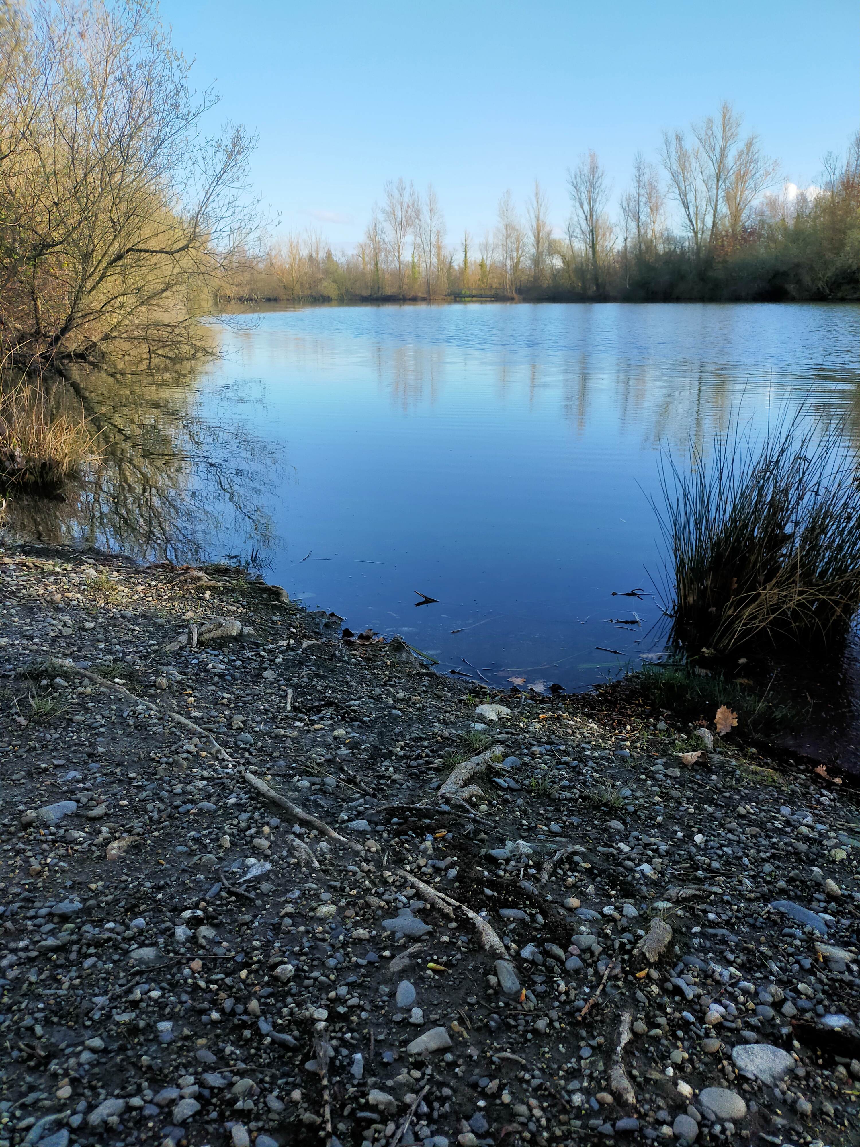 Photo n° 18 de l'avis de Domie.u fait le 13/03/2022 à 17:39