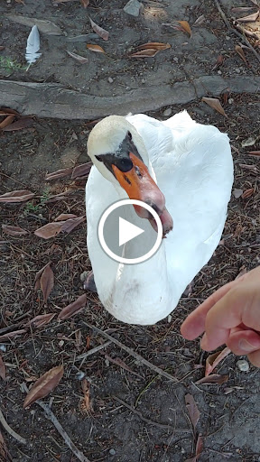 Funeral Home «Oakdale Mortuary and Memorial Park», reviews and photos, 1401 S Grand Ave, Glendora, CA 91740, USA