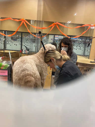 Pet Supply Store «PetSmart», reviews and photos, 16514 SW 88th St, Kendall, FL 33196, USA