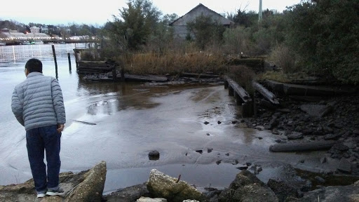 History Museum «Battleship North Carolina», reviews and photos, 1 Battleship Rd NE, Wilmington, NC 28401, USA