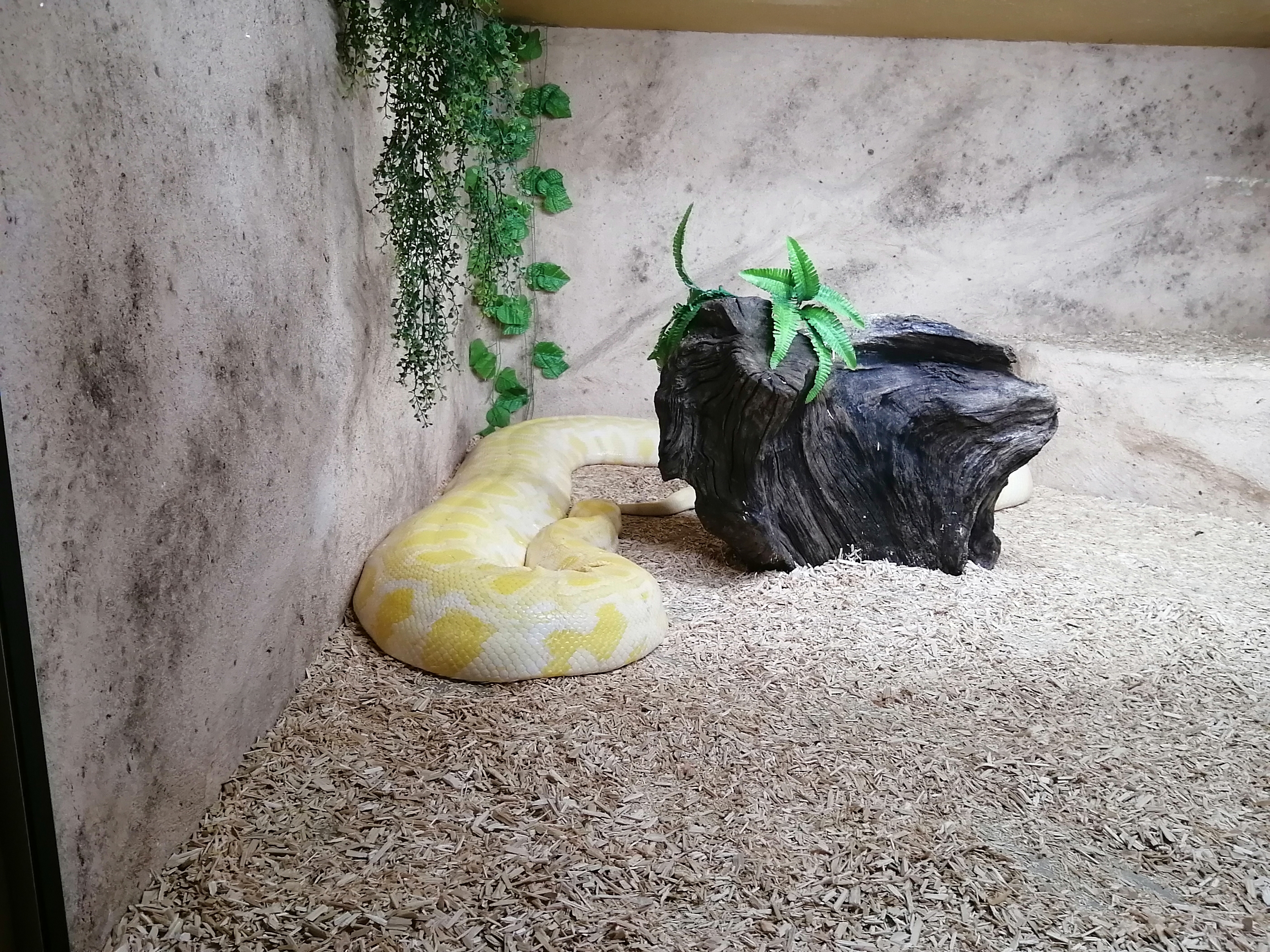 Photo n° 7 de l'avis de Mélissa.e fait le 31/10/2021 à 20:11