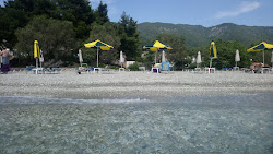 Ammos beach'in fotoğrafı imkanlar alanı