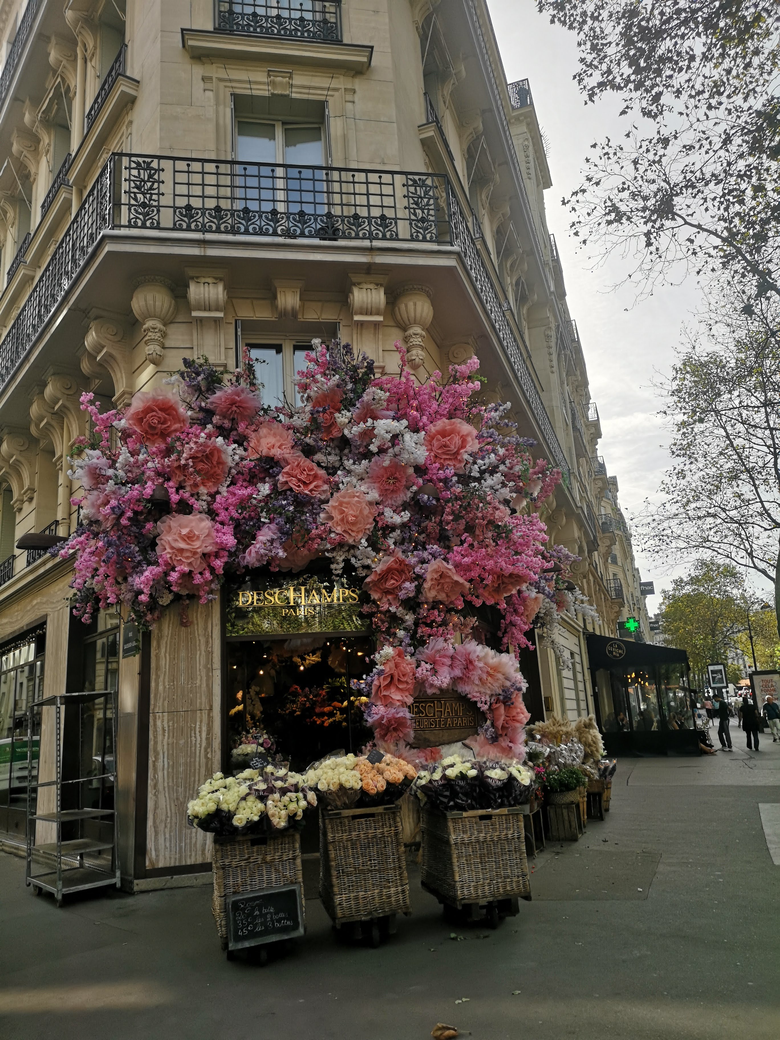 Photo n° 12 de l'avis de Marie.l fait le 11/10/2023 à 19:49